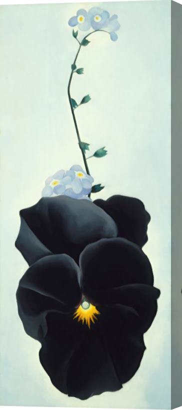 Georgia O'keeffe Black Pansy & Forget Me Nots (pansy), 1926 Stretched Canvas Painting / Canvas Art