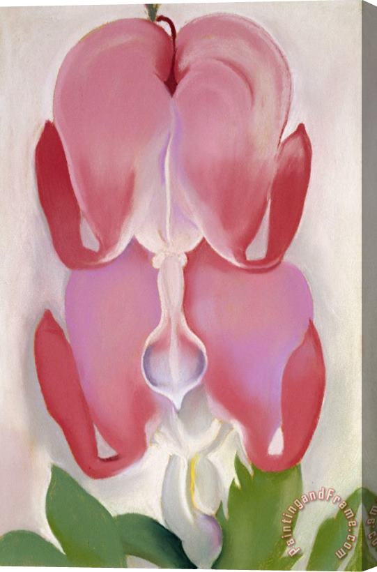 Georgia O'keeffe Bleeding Heart, 1932 Stretched Canvas Print / Canvas Art