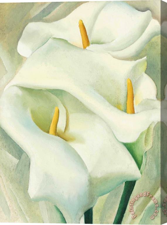 Georgia O'keeffe Calla Lilies, 1924 Stretched Canvas Painting / Canvas Art