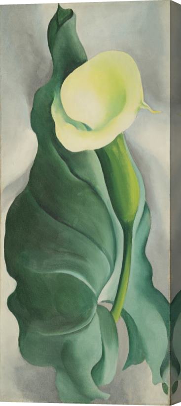 Georgia O'Keeffe Calla Lily (lily Yellow, No. 2) Stretched Canvas Painting / Canvas Art