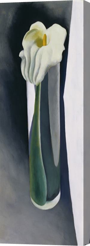 Georgia O'keeffe Calla Lily in Tall Glass No. 2, 1923 Stretched Canvas Painting / Canvas Art