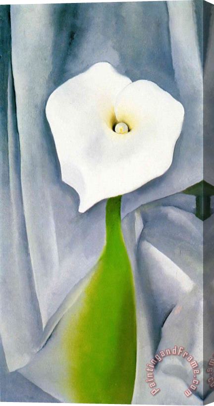 Georgia O'keeffe Calla Lily on Grey Stretched Canvas Painting / Canvas Art