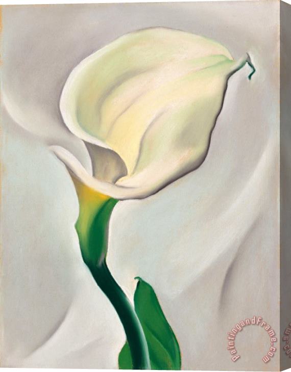 Georgia O'keeffe Calla Lily Turned Away, 1923 Stretched Canvas Painting / Canvas Art