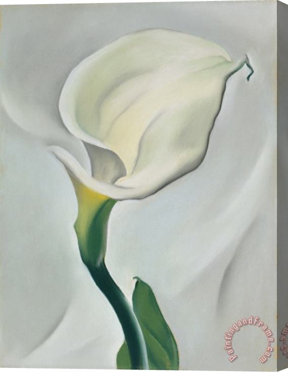 Georgia O'Keeffe Calla Lily Turned Away Stretched Canvas Print / Canvas Art