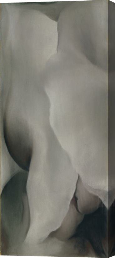 Georgia O'keeffe Dark Iris No. Iii, 1927 Stretched Canvas Painting / Canvas Art