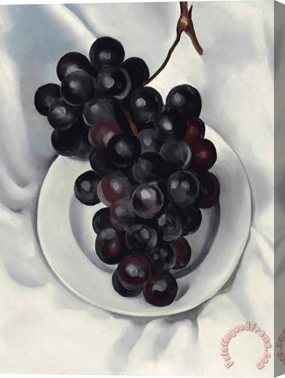 Georgia O'keeffe Grapes No. 2, 1927 Stretched Canvas Painting / Canvas Art