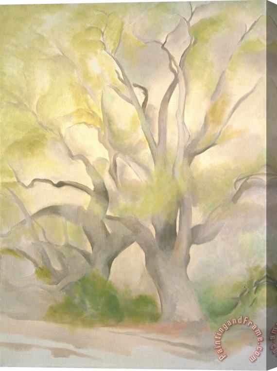 Georgia O'keeffe Green Tree, 1953 Stretched Canvas Painting / Canvas Art
