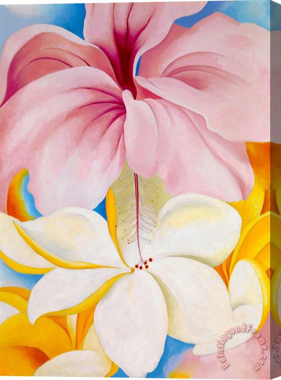 Georgia O'keeffe Hibiscus with Plumeria Stretched Canvas Print / Canvas Art
