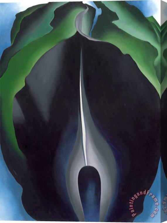 Georgia O'keeffe Jack in The Pulpit No Iv Stretched Canvas Painting / Canvas Art
