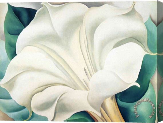 Georgia O'keeffe Jimson Weed 2 Stretched Canvas Painting / Canvas Art