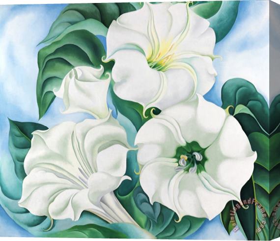 Georgia O'keeffe Jimson Weed 3 Stretched Canvas Painting / Canvas Art