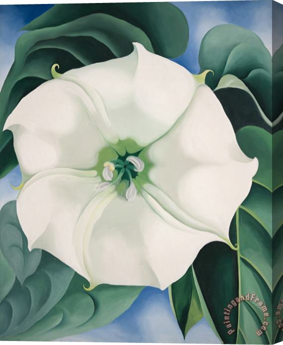 Georgia O'keeffe Jimson Weed White Flower No. 1, 1932 Stretched Canvas Painting / Canvas Art