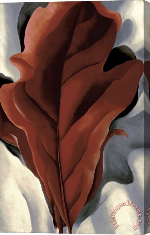 Georgia O'keeffe Large Dark Red Leaves on White Stretched Canvas Painting / Canvas Art
