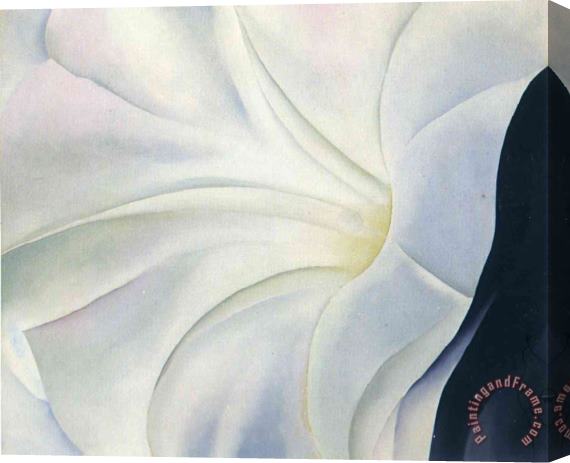 Georgia O'keeffe Morning Glory with Black Stretched Canvas Painting / Canvas Art
