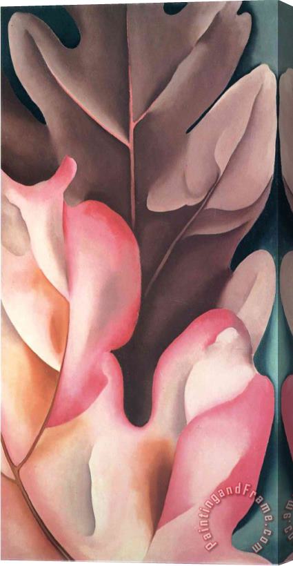 Georgia O'keeffe Oak Leaves Pink And Grey Stretched Canvas Print / Canvas Art