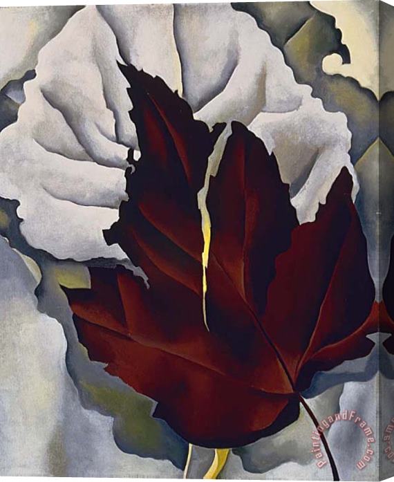 Georgia O'keeffe Pattern of Leaves Stretched Canvas Painting / Canvas Art