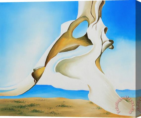 Georgia O'keeffe Pelvis with The Distance 1943 Stretched Canvas Print / Canvas Art