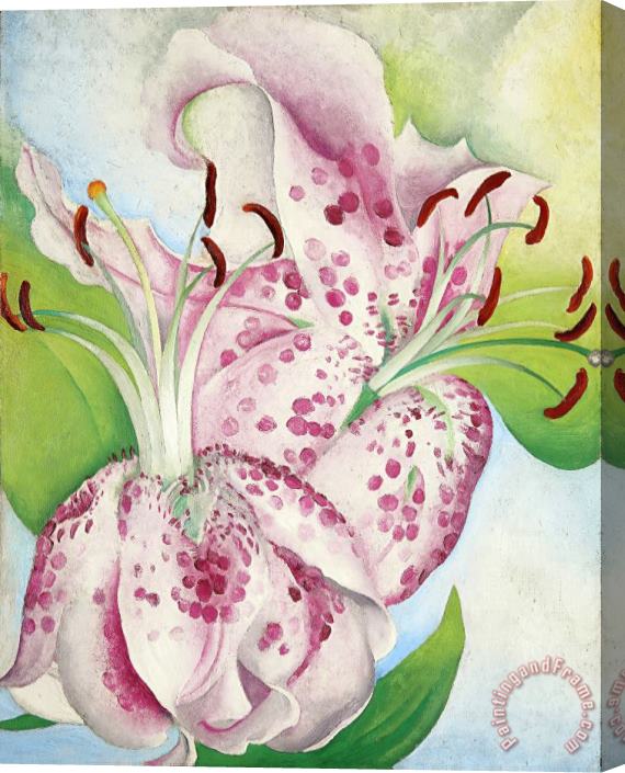 Georgia O'keeffe Pink Spotted Lillies, 1936 Stretched Canvas Painting / Canvas Art