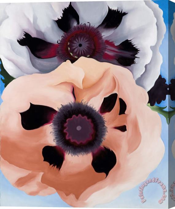 Georgia O'Keeffe Poppies Stretched Canvas Print / Canvas Art