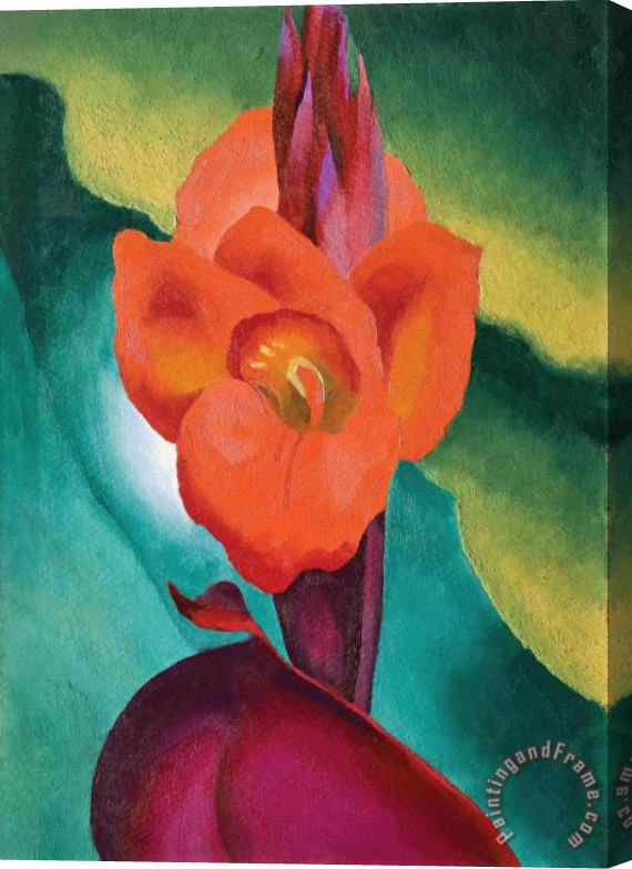 Georgia O'keeffe Red Canna, 1919 Stretched Canvas Print / Canvas Art