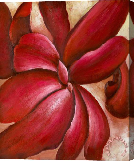 Georgia O'keeffe Red Cannas Stretched Canvas Painting / Canvas Art