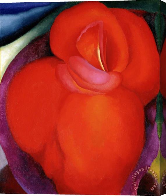 Georgia O'keeffe Red Flower, 1919 Stretched Canvas Painting / Canvas Art