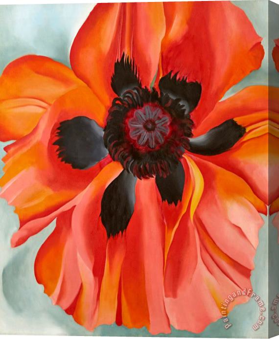 Georgia O'keeffe Red Poppy Vi Stretched Canvas Painting / Canvas Art