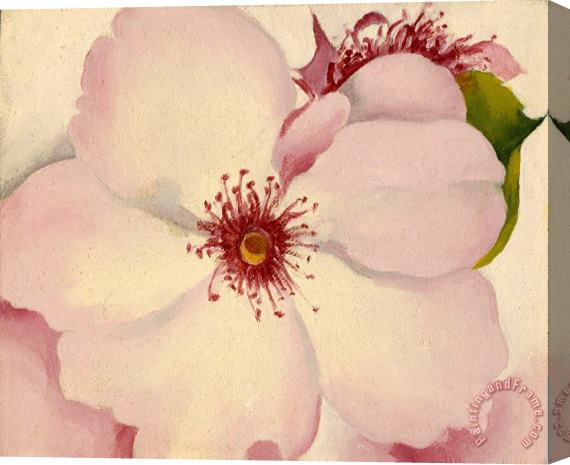 Georgia O'keeffe Rose, Ca. 1957 Stretched Canvas Painting / Canvas Art