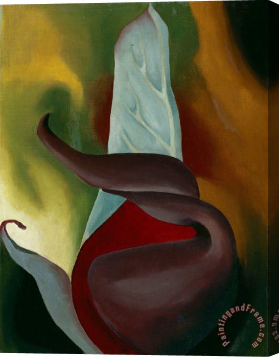 Georgia O'keeffe Skunk Cabbage, 1922 Stretched Canvas Painting / Canvas Art