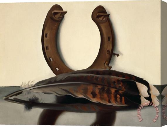 Georgia O'keeffe Turkey Feather with Horseshoe, Ii, 1935 Stretched Canvas Print / Canvas Art