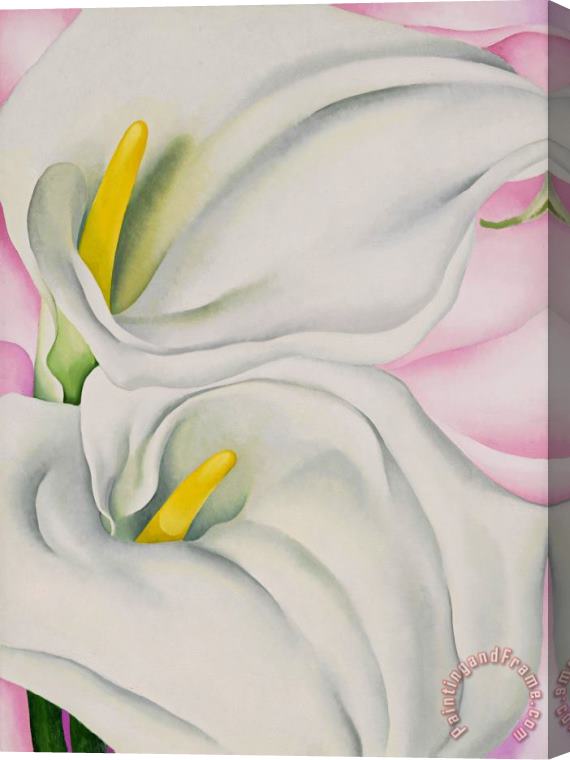 Georgia O'keeffe Two Calla Lilies on Pink, 1928 Stretched Canvas Print / Canvas Art