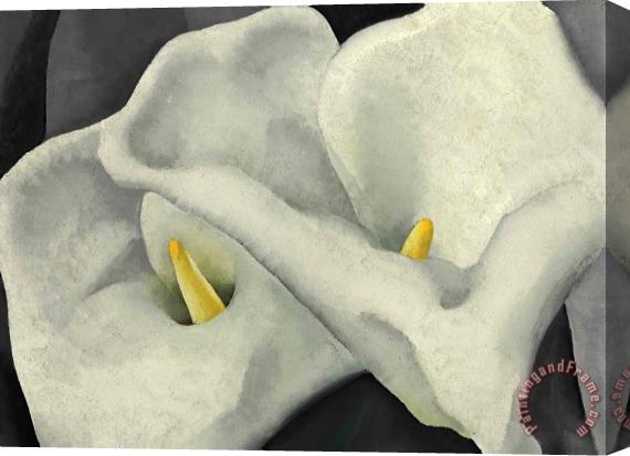 Georgia O'keeffe Two Calla Lilies Stretched Canvas Painting / Canvas Art