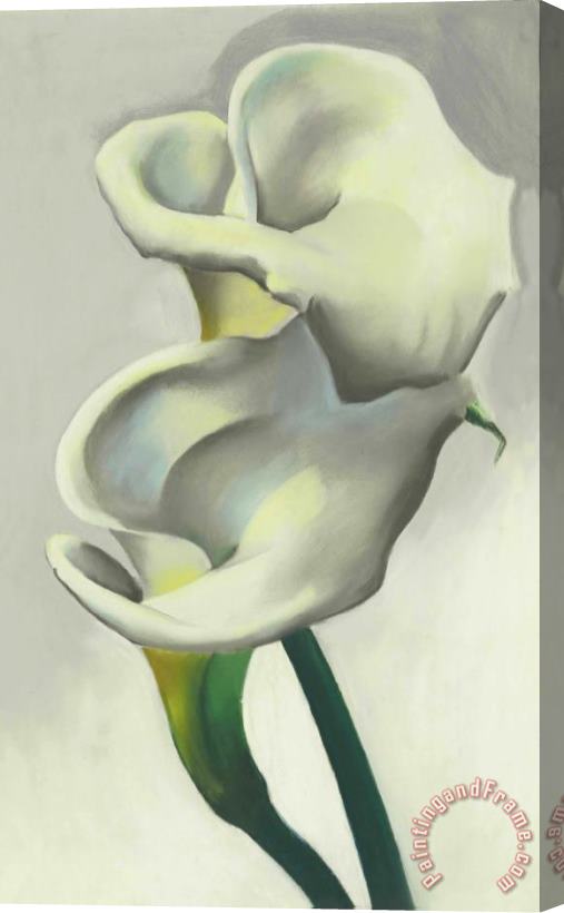 Georgia O'keeffe Two Calla Lilies Together Stretched Canvas Painting / Canvas Art
