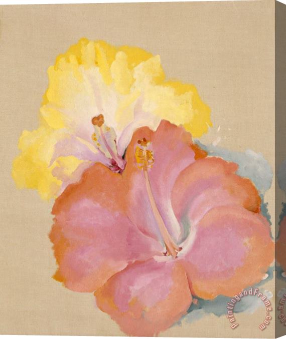 Georgia O'keeffe Untitled (hibiscus), 1939 Stretched Canvas Painting / Canvas Art