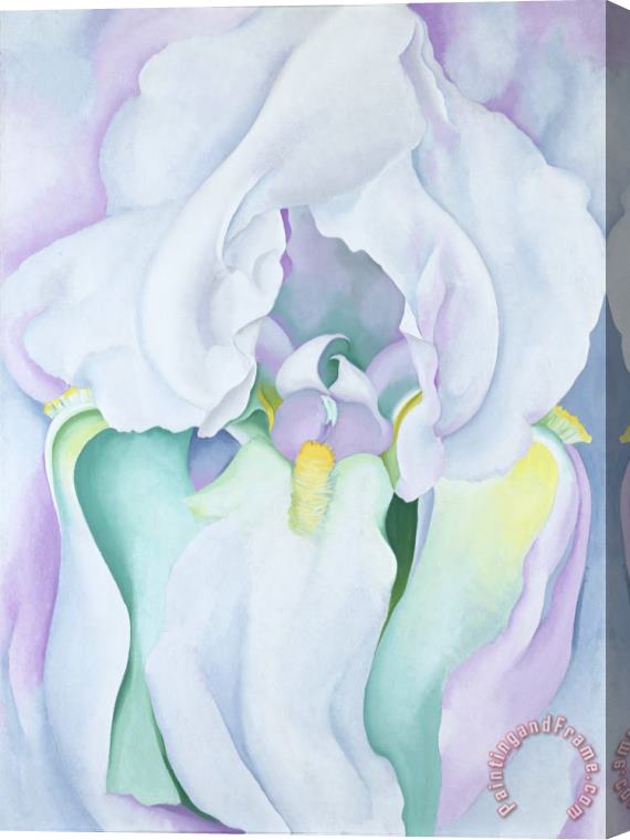Georgia O'Keeffe White Iris Stretched Canvas Painting / Canvas Art