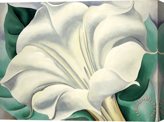 Georgia O'Keeffe White Trumpet Flower Stretched Canvas Painting / Canvas Art