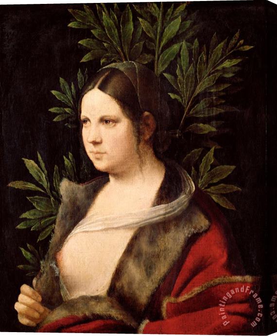 Giorgione Young Woman (laura) Stretched Canvas Painting / Canvas Art