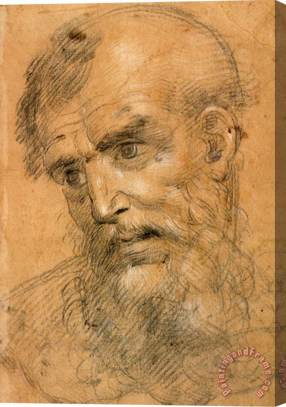 Giovanni Antonio Sogliani Head of a Bearded Man (recto); Study for a Sacra Conversazione (verso) Stretched Canvas Print / Canvas Art