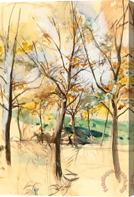 Giovanni Boldini Trees in The Bois De Boulogne Stretched Canvas Print / Canvas Art