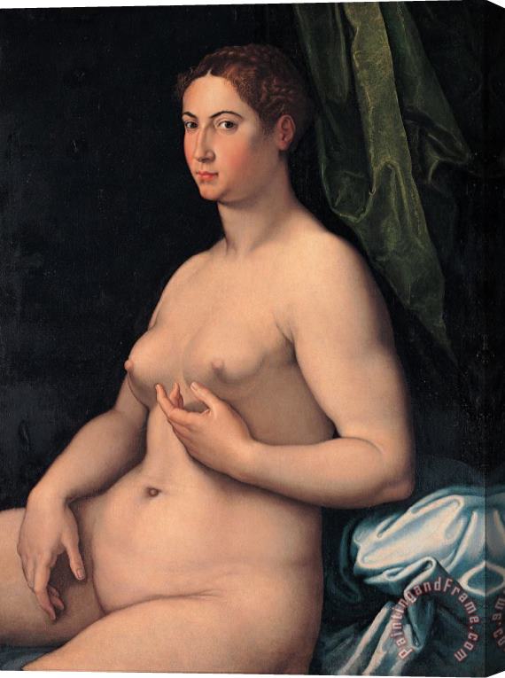 Girolamo Siciolante da Sermoneta A Seated Female Stretched Canvas Painting / Canvas Art