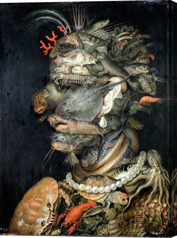 Giuseppe Arcimboldo Water Stretched Canvas Painting / Canvas Art