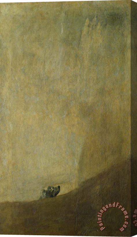 Goya The Dog Stretched Canvas Print / Canvas Art