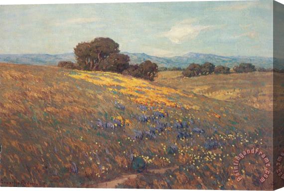 Granville Redmond Poppies And Lupines Stretched Canvas Print / Canvas Art