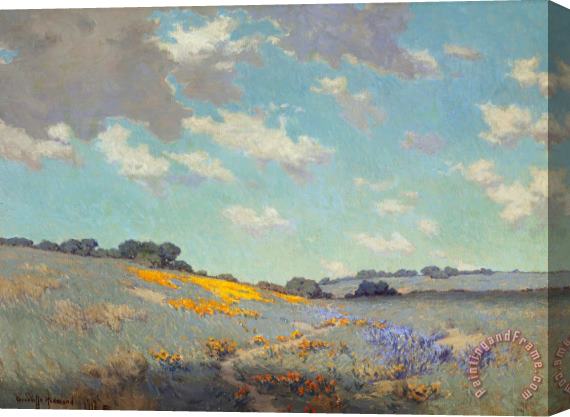 Granville Seymour Redmond Patch of Poppies Stretched Canvas Print / Canvas Art