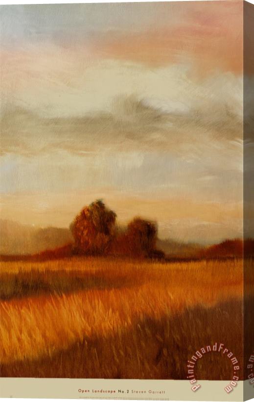 Gregory Garrett Open Landscape II Stretched Canvas Print / Canvas Art