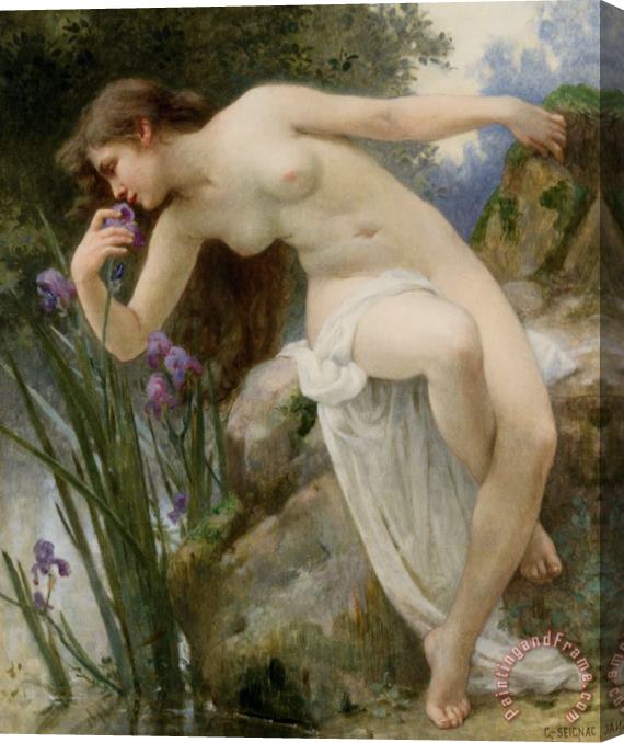 Guillaume Seignac Fragrant Iris Stretched Canvas Painting / Canvas Art