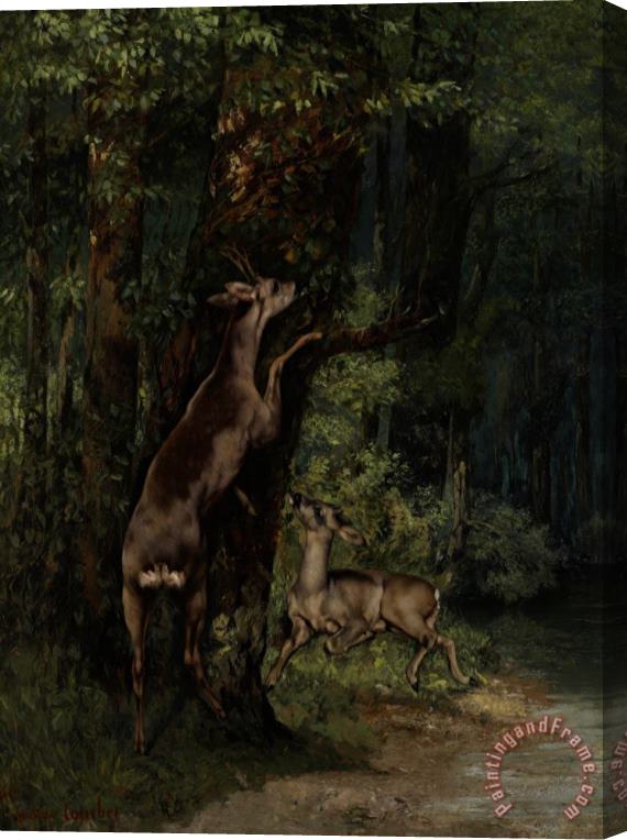 Gustave Courbet Deer In The Forest Stretched Canvas Painting / Canvas Art