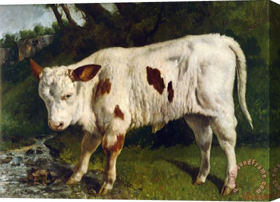 Gustave Courbet Le Veau Blanc Stretched Canvas Painting / Canvas Art