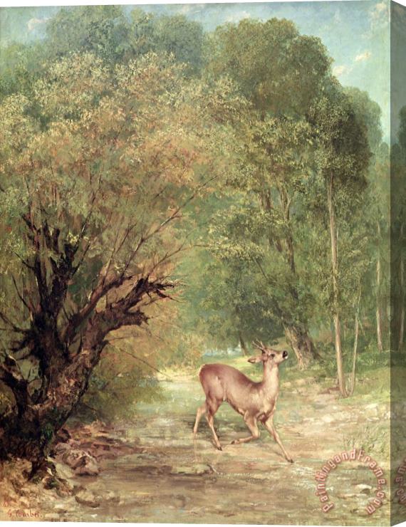 Gustave Courbet The Hunted Roe Deer on The Alert, Spring Stretched Canvas Painting / Canvas Art