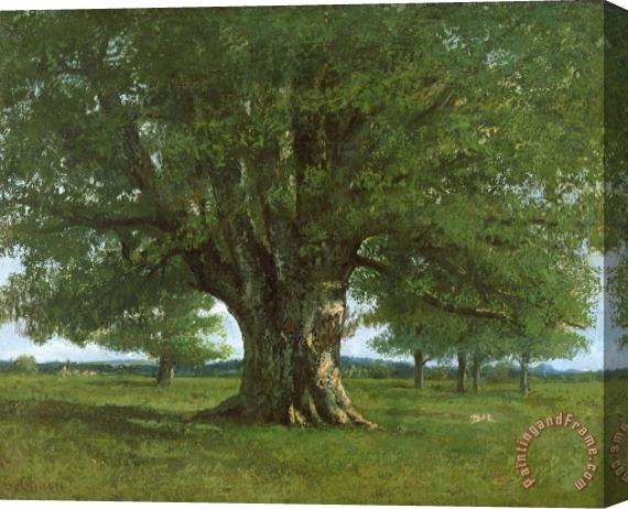 Gustave Courbet The Oak of Flagey Stretched Canvas Print / Canvas Art